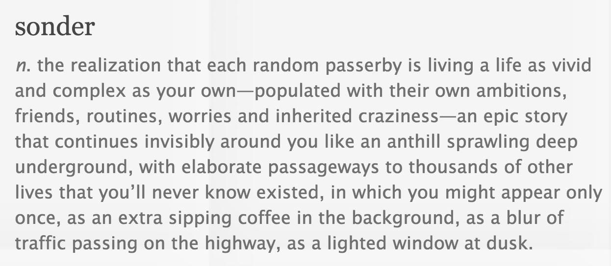 Sonder Definition